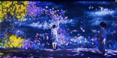 teamLab——風靡全球的沉浸式網紅展項體驗！